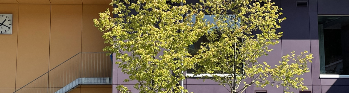 Schule Schachen