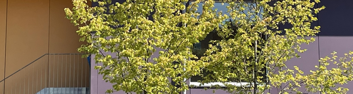 Schule Schachen